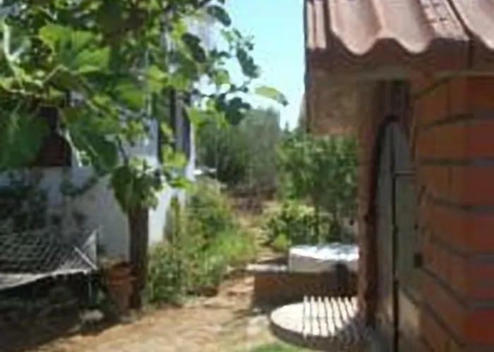 Relax & Enjoy At Powermoni *